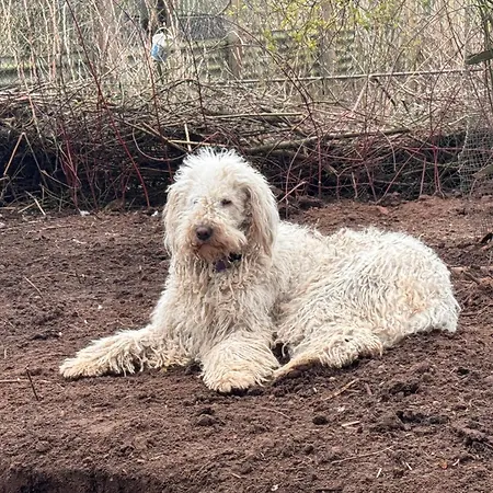 Bett Im Heu-Koje Mit Schlafsack Free Wifi Hausbreitenbach